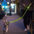 Nitey Leash - LED Glow in The Dark Pet Dog Leash (Green)...