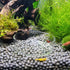 60 mm/65 mm Redondo Aquário Vidro Camarão Alimento Tigelas de Prato Reptiles Água Alimentos Prato Tigela AlimentadoraAilinda 65MM...