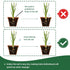 8 Pcs Clear Plant Watering Globes,Plastic Self-Watering Bulbs,Automatic Watering Globes,Garden Water Device for Plant Indoor Outdoor...