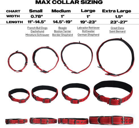 PetiFine Dog Collar with Metal Buckle, Heavy Duty Dog Collar with Soft Neoprene Padded, Adjustable Reflective Nylon Dog Collars for Small Medium L...