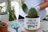 Funny Ceramic Succulent Cactus Planter Pot with Bamboo Saucers - Thank You for Helping Me Grow, Cactus Plant Office Garden for Teacher, Mom, Grand...