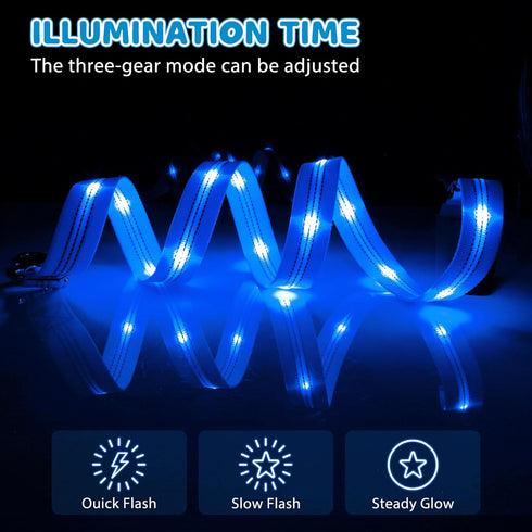 HIGO Rechargeable LED Dog Leash - 42.7" Reflective Light Up Dog Lead, High Visibility Glowing Safety Leash Light for Night Walking (Blue)...
