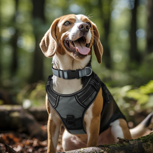 Joytale Reflective Dog Collar,Soft Neoprene Padded Breathable Nylon Pet Collar Adjustable for Large Dogs,Gray,L...