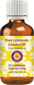 Deve Herbes Pure Labdanum Essential Oil (Cistus ladaniferus) Natural Therapeutic Grade Steam Distilled 30ml (1 oz)...