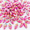 300pcs AB Horse Eye Shape Crystal Clear Sew On Acrylic Rhinestones Flatback Fancy Stones Sewing for Clothing Dress Decorations 7X15MM (Rose red)...