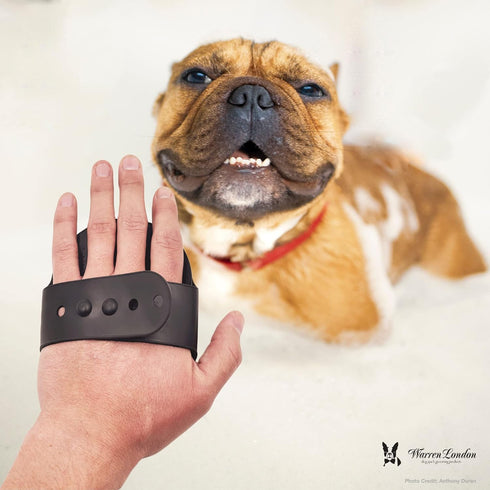 Warren London Grooming Bath Brush for Dogs and Cats | Applicator for Dog Shampoo, Hydrating Butter, or Pet Leave In Conditioner | Black...