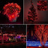 Outdoor Solar String Lights, 2 Pack 33ft 100L Solar Copper Fairy Lights,8 Modes Twinkle Lights Decor for Indoor Outdoor Patio Yard Trees Christmas...