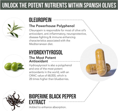 Total Olive® - Olive Leaf Extract (40% Oleuropein) Plus Olive Fruit Extract (20% Hydroxytyrosol) – Full Spectrum Extract Grown & Extracted in Spai...