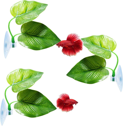 3 Pack Betta Fish Leaf Pad Improves Betta's Health by Simulating The Natural Habitat - Natural, Organic, Comfortable Rest Area for Fish Aquarium...
