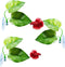 3 Pack Betta Fish Leaf Pad Improves Betta's Health by Simulating The Natural Habitat - Natural, Organic, Comfortable Rest Area for Fish Aquarium...