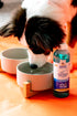 Nylabone Advanced Oral Care Dog Water Additive for Dental Care - Liquid Tartar Remover - Dog Breath Freshener & Teeth-Cleaning Liquid (16 oz.)...