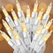 Clear Christmas Lights 25FT 100 Incandescent Bulbs Warm White Mini Lights with White Wire for Christmas Tree, Garland, Thanksgiving, Wedding, Part...