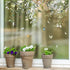 Hanging Vine Foral Window Clings Wall Stickers, PVC Double-Sided Flower Leaf Anti Collision Removable Window Decals, Window Decals for Home Party ...