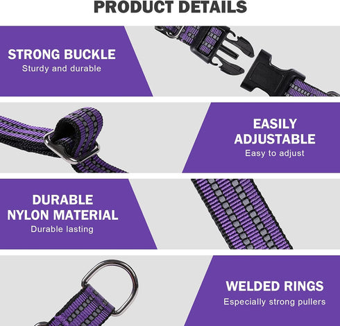 Martingale Collar for Dogs Reflective Nylon Dog Collar with Quick Release Buckle Adjustable Training No Slip Dog Collar (Medium, Purple)...
