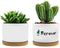 3.2'' Succulent Pots, Mini Succulent Pots Cute Succulent Pots with Woonden Tray Small Ceramic, Girls Women Birthday Gifts Plant Lovers Housewarmin...