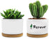 3.2'' Succulent Pots, Mini Succulent Pots Cute Succulent Pots with Woonden Tray Small Ceramic, Girls Women Birthday Gifts Plant Lovers Housewarmin...