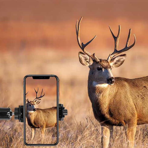 Universal Bow Phone Mount 360° Cell Phone Holder for Archery Phone Mount for Compound Bow Hunting Photos and Video Moment Recorder...