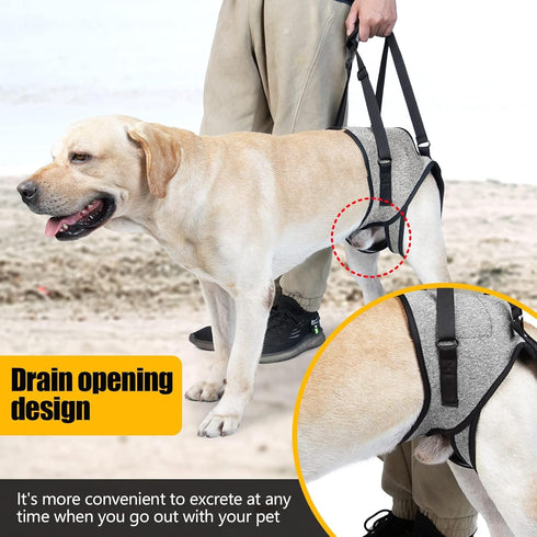 Dog Lifting Harness,Dog Hind Legs Support Strap, Pet Portable Recovery Walking Training Lift Strap with Handle for Elderly Injured Amputation Disa...