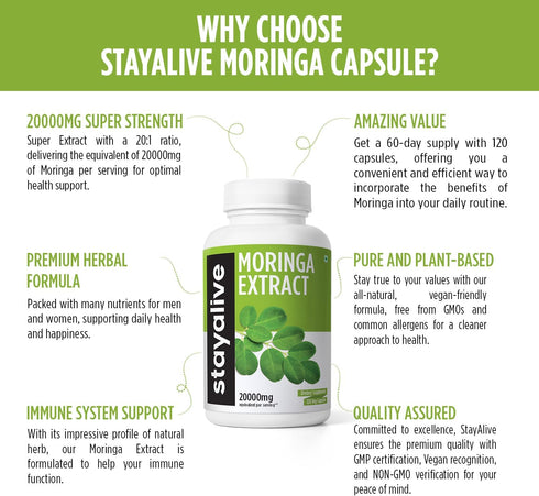 STAY ALIVE Pure Moringa Capsules, 20000mg Equivalent, 120 Vegan Moringa Pills, Immune, Digestive & Body Support, Green Superfood with Extra Streng...