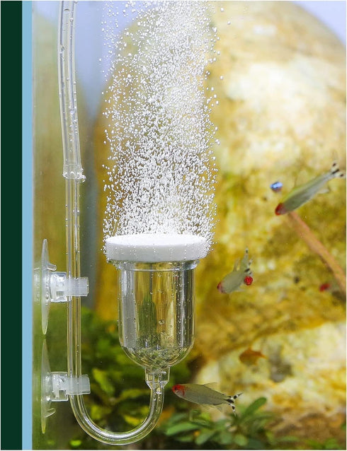boxtech Aquarium Air Stone, Fish Tank Bubble Diffuser High Dissolved Oxygen Airstones for Air pump Accessoriess with 1 Check Valve, 2 Suction Cup ...