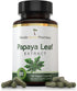 Florida Herbal Pharmacy, Papaya Leaf Extract Capsules 10:1 (120 Capsules)...