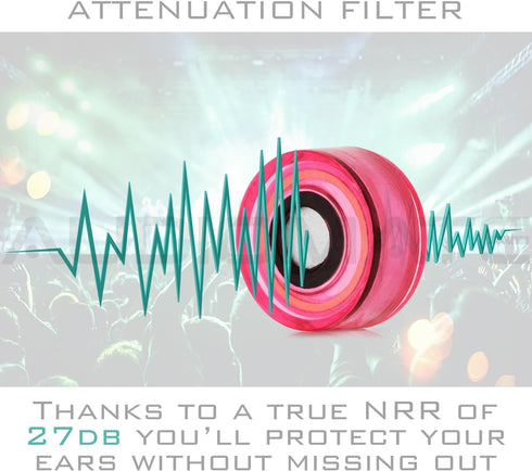 Audiomate High-Fidelity Earplugs with Metal Keychain Carry Case and 2 Interchangeable Earbuds Comfortable Soft Silicone HiFi Noise Attenuating Ear...