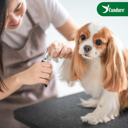 Candure Dog Nail Clippers Professional Pet Nail Clipper Suitable for Cats, Rabbits and Guinea Pigs - Safety Lock/Protective Guard to Avoid Over Cu...