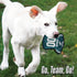 The 1st Ever Tough but Smooth Dog Toy NFL Philadelphia Eagles Football Jersey Tough Pet Toy. A Premium Quality Doggie Toy with Built-in Squeaker. ...