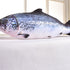 24 Inch Simulation Fish Plush Toy Pillow Soft Fish Cushion Pillow Stuffed Animal Toy for Cat Pets or Kids Birthday Gifts...