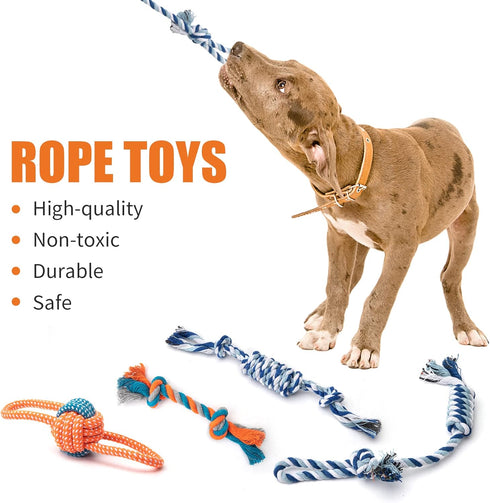 Toozey Puppy Toys, 12 Pack Puppy Toys for Teething Small Dogs, Cute Dog Toys Small Dogs, Stuffed Plush Squeaky Small Dog Toys, Non-Toxic and Safe ...