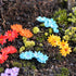 15 Pcs Tiny Miniature Flower Moss Bonsai DIY Crafts Fairy Garden Landscape Decor (Random Color)...