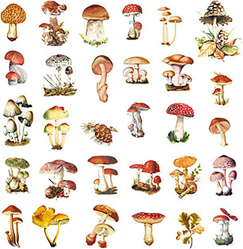 60PCS Mushroom Laptop Stickers Decals, Doraking DIY Mushroom Plants Decoration Stickers Decals for Windows, Refrigerator, Decoration (Mushroom Col...