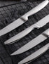Steak Knife Set, 4-Piece Serrated Steak Cutlery Steak Knife, Silver Stainless Steel Steak Cutlery Knife for Home, Restaurant, Hotel, 22cm...