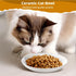 Ceramic Cat Food Plates: Cat Wet Food Bowls/Whisker Fatigue Cat Dishes & Shallow Bowls for Kittens and Small Animals1...