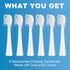Replacement Brush Heads for WaterPik Sonic-Fusion 2.0 Flossing Toothbrush (SF-03/SF-04) and Sonic-Fusion Flossing Toothbrush (SF-01/SF-02),6 Count...