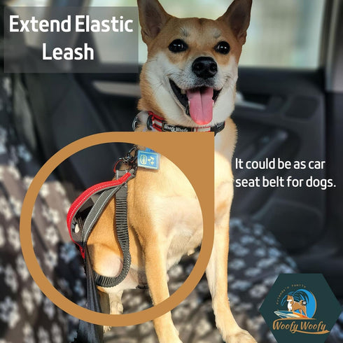 Extension Elastic Leash, Bungee Dog Leash, Shock Absorbing, Front Control Handle, Reflective Webbing, High Strength Swivel Metal Attachment Point,...