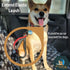 Extension Elastic Leash, Bungee Dog Leash, Shock Absorbing, Front Control Handle, Reflective Webbing, High Strength Swivel Metal Attachment Point,...