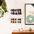 Sunglasses Organizer Wood Storage Eye Glasses Holder for Home Wall Mounted,Sunglasses Rack Home Wall Hanging Storage Organizer (2pcs White)...