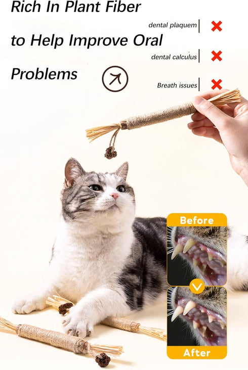 Kamanda Cat Toys, 8Pcs Silvervine Cat Toy, Silvervine Sticks Cat Toys for Indoor Cats, Cat Kitten Chew Toys for Aggressive Chewers, Cat Dental Toy...