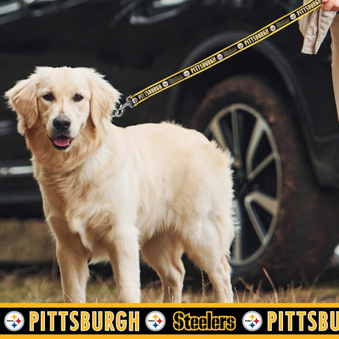 NFL PET Leash Pittsburgh Steelers Dog Leash, Medium Football Team Leash for Dogs & Cats. A Shiny & Colorful Cat Leash & Dog Leash Licensed by The ...