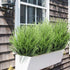 DVGUN Artificial 4 Count Pack of 4 - Artificial Plastic Outdoor UV Resistant Faux Garden Resistant Wheat Grass Greenery for House Plants Bushes Sh...