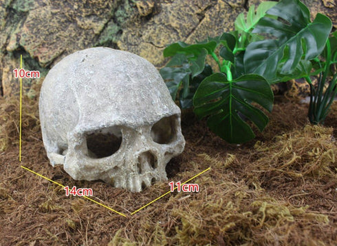 Hewnda Aquarium Decor Resin Artificial Head Skeleton Decoration - Aquarium Otaru Aquarium Decorative Cave Landscape Pet Reptile House...