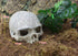 Hewnda Aquarium Decor Resin Artificial Head Skeleton Decoration - Aquarium Otaru Aquarium Decorative Cave Landscape Pet Reptile House...