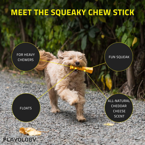 Playology Squeaky Chew Stick Dog Toy for Large Dog Breeds (35lbs and Up) - Engaging All-Natural Cheddar Chesse Scented Dog Chew Toy for Moderate C...