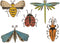 Sizzix Thinlits Die Set 5PK Funky Insects by Tim Holtz, 665364, Multicolor...