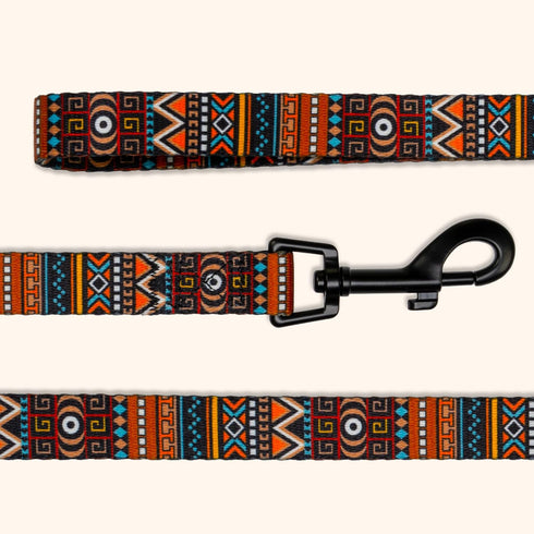 CollarDirect Aztec Dog Leash Nylon Tribal Pattern Cat Pet Leashes for Small Medium Large Dogs Puppy Lead 5 FT Long for Walking (Aztec Sunset, L, N...