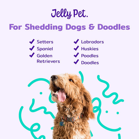 Pivoting Slicker Brush, Brush Head Moves, Soft Pin Slicker, Protects Skin, Prevents Irritation, Effortless Brushing of Shedding Dogs, Detangles an...