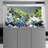 AWERT 72x24 inches Stone Fish Tank Background Aquatic Plant River Bed & Lake Aquarium Background Seaweed Aquarium Vinyl Background...