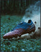 Posterizer 1 pcs-Close-up of a football -Soccer shoe kicking up dirt -2-Sports & Hobby Art Gifts for sports fans Decor for Home & Office- unframed...