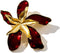 Flower Brooches for Women Fashion Decoration Pin...